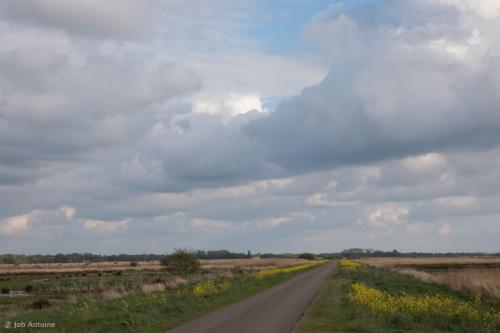 FZ82_P1000240 (Middel)